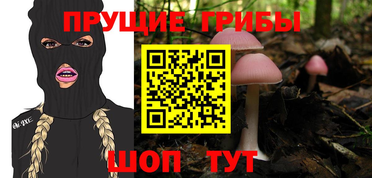 Псилоцибиновые грибы Magic Shrooms  купить  сайты  Гусь-Хрустальный  Вход с VPN 